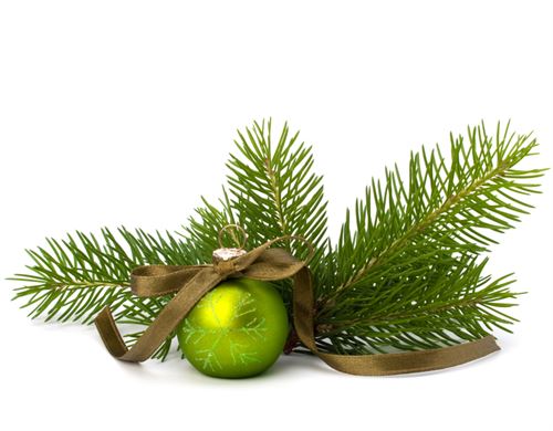 Christmas tree branch with green ornament
